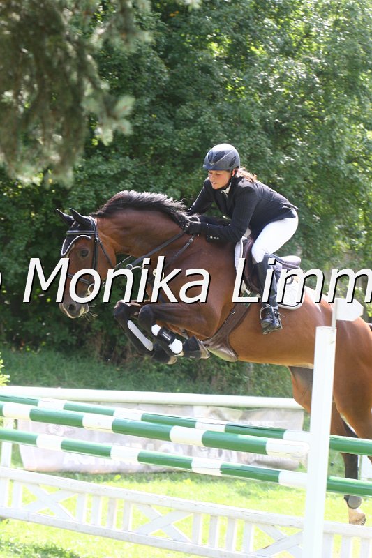 308M0270_Lady Gaga_Springpferde_L.JPG